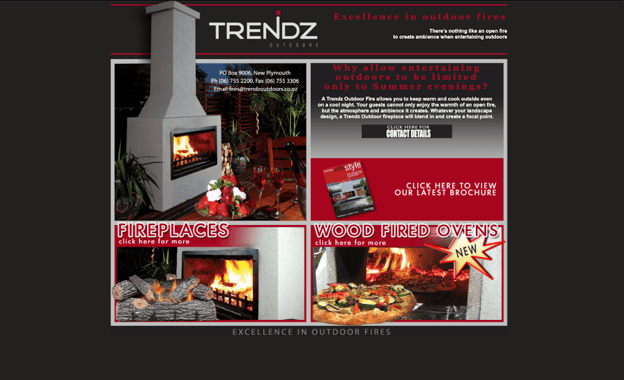 The Trendz website in 2009