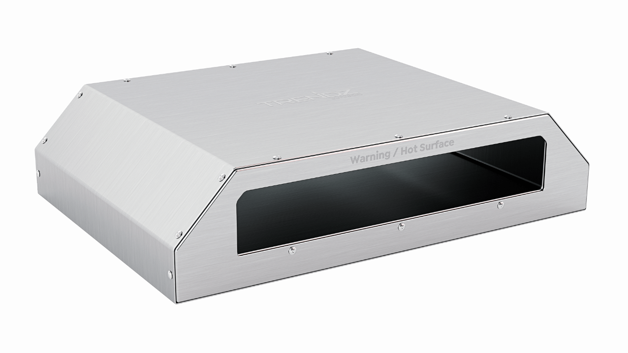 Pizza oven insert
