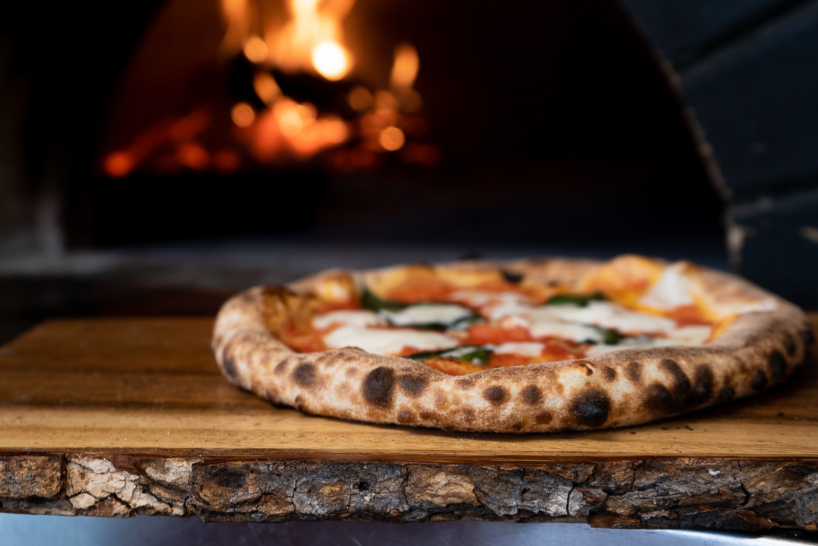 Wood fired pizza ovens