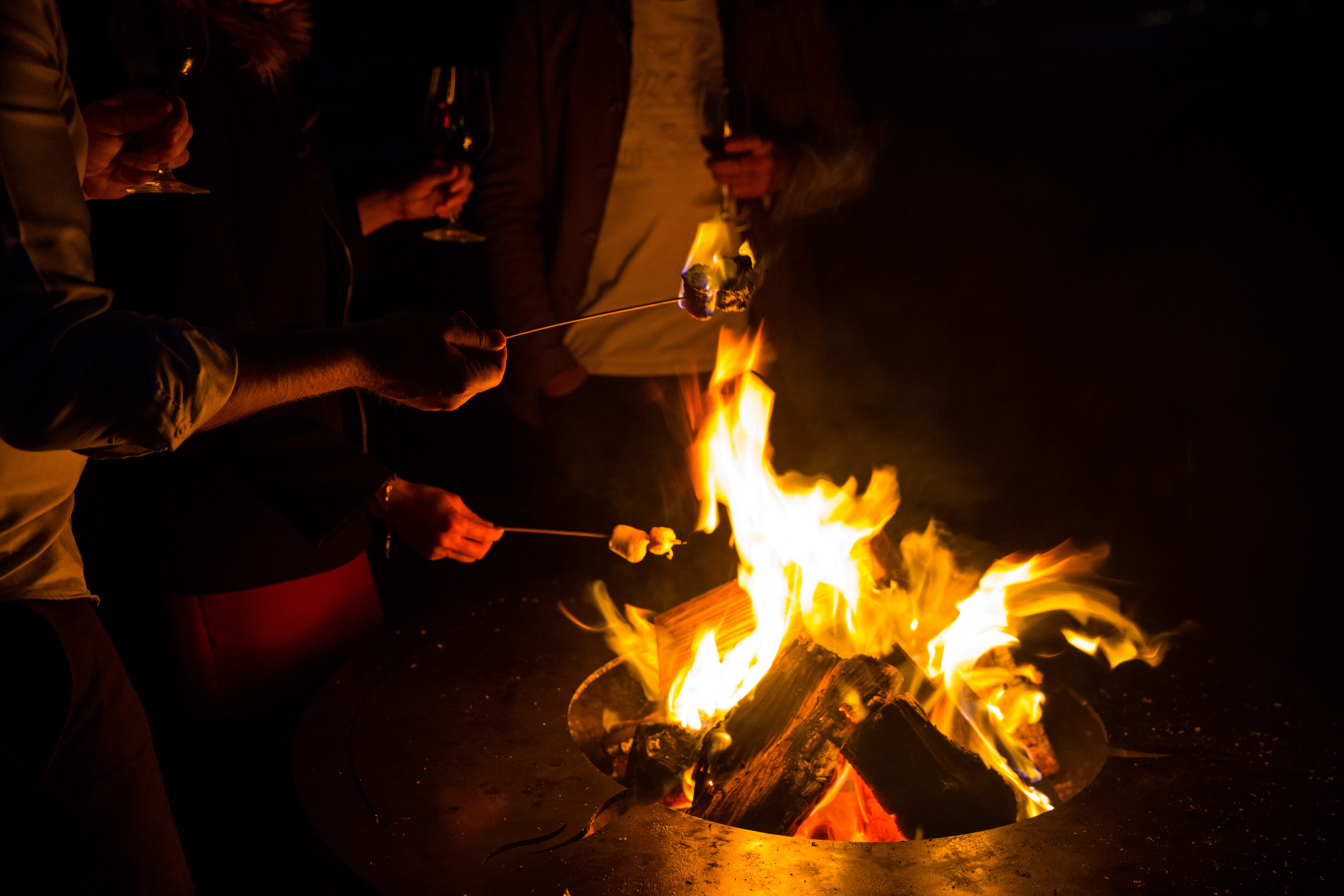 Cooking on firepit nz