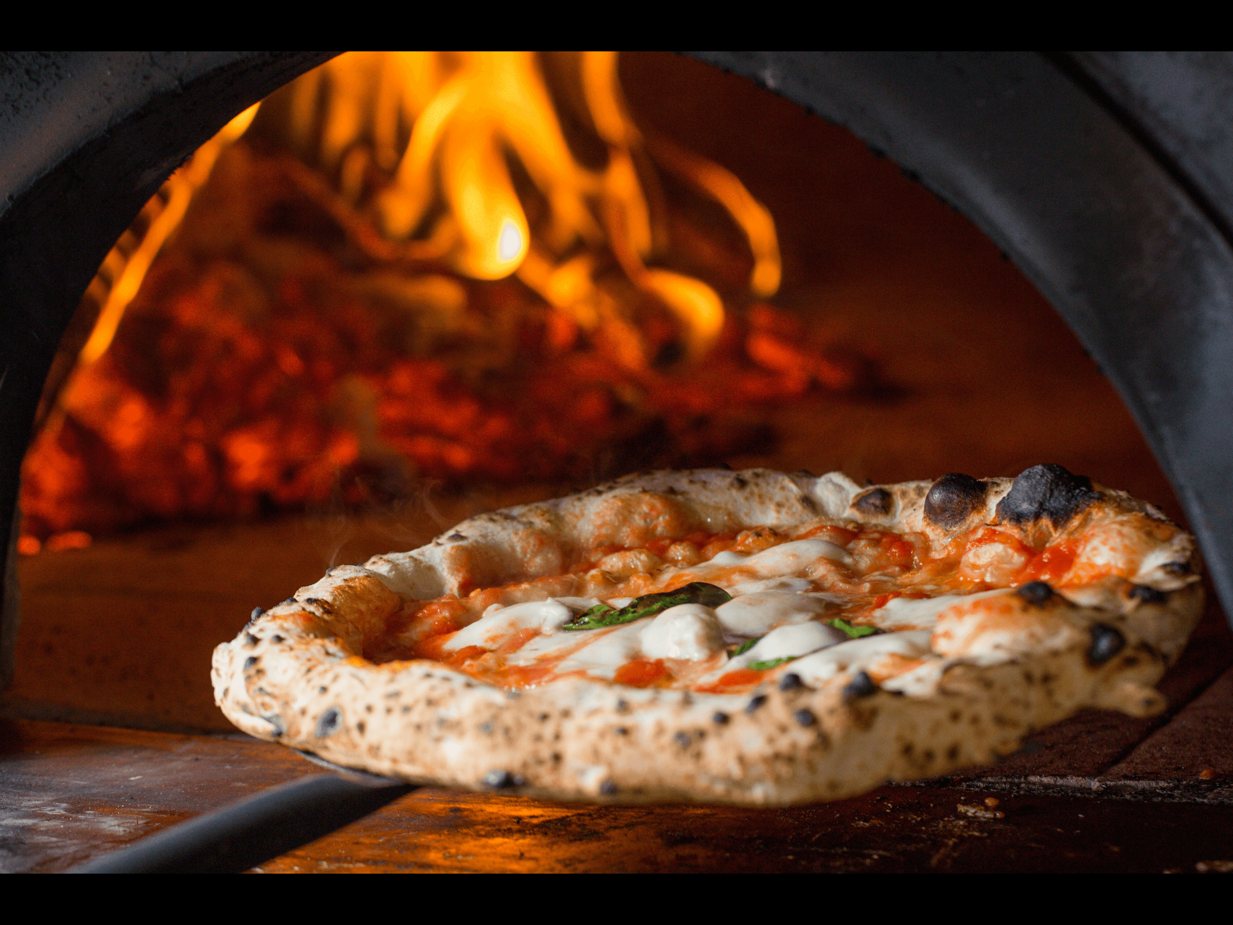 Pizza Oven Buying Guide